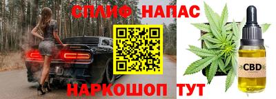 стафф Ярославль