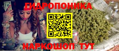 стафф Ярославль