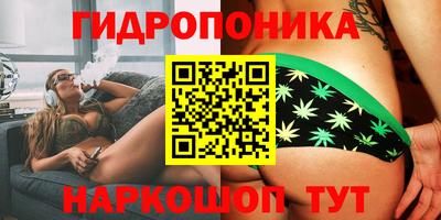стафф Ярославль