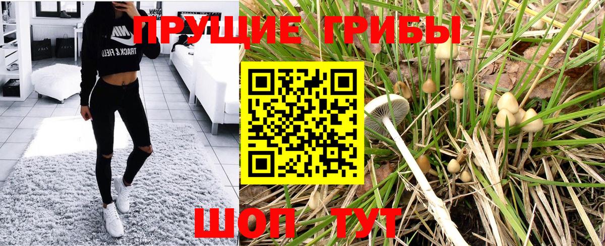 Алатырь  Галлюциногенные грибы прущие грибы  Вход с VPN 